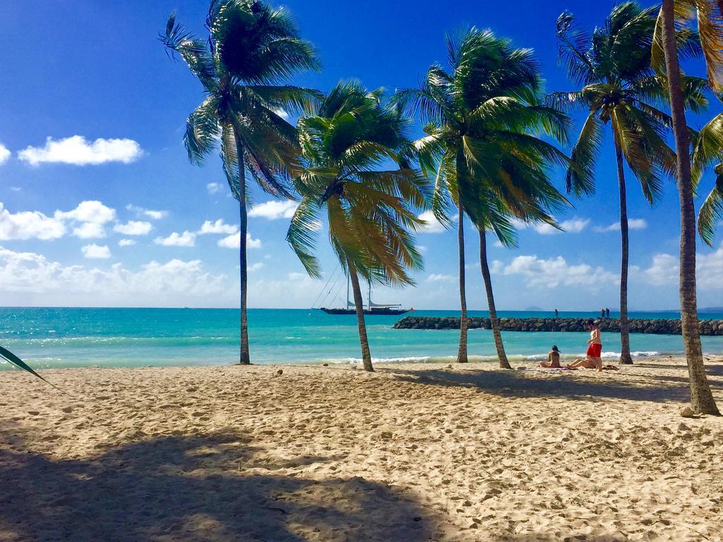 Coton Doux Front De Mer Le Gosier  Bagian luar foto