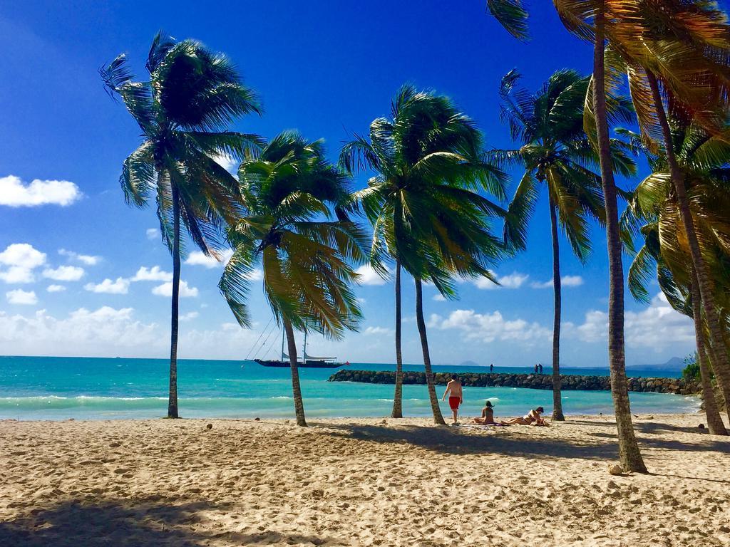 Coton Doux Front De Mer Le Gosier  Bagian luar foto