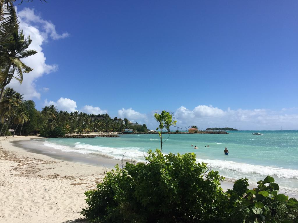 Coton Doux Front De Mer Le Gosier  Bagian luar foto